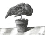 2005_Bonsai_charcoal