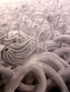 2008_field of vines_pastels